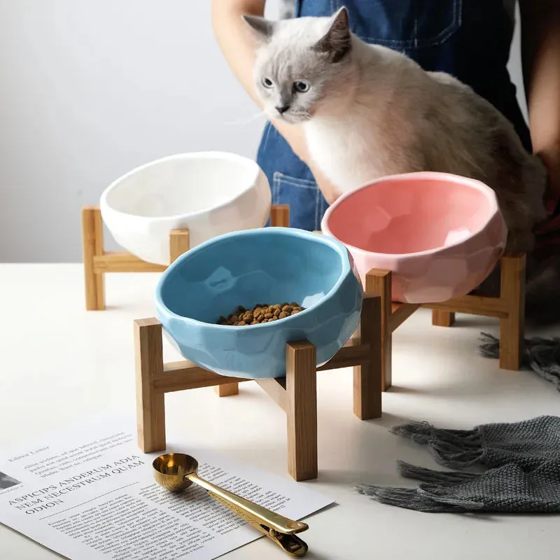 Bowl Oblique Pet Feeder Large Capacity High Foot Oblique